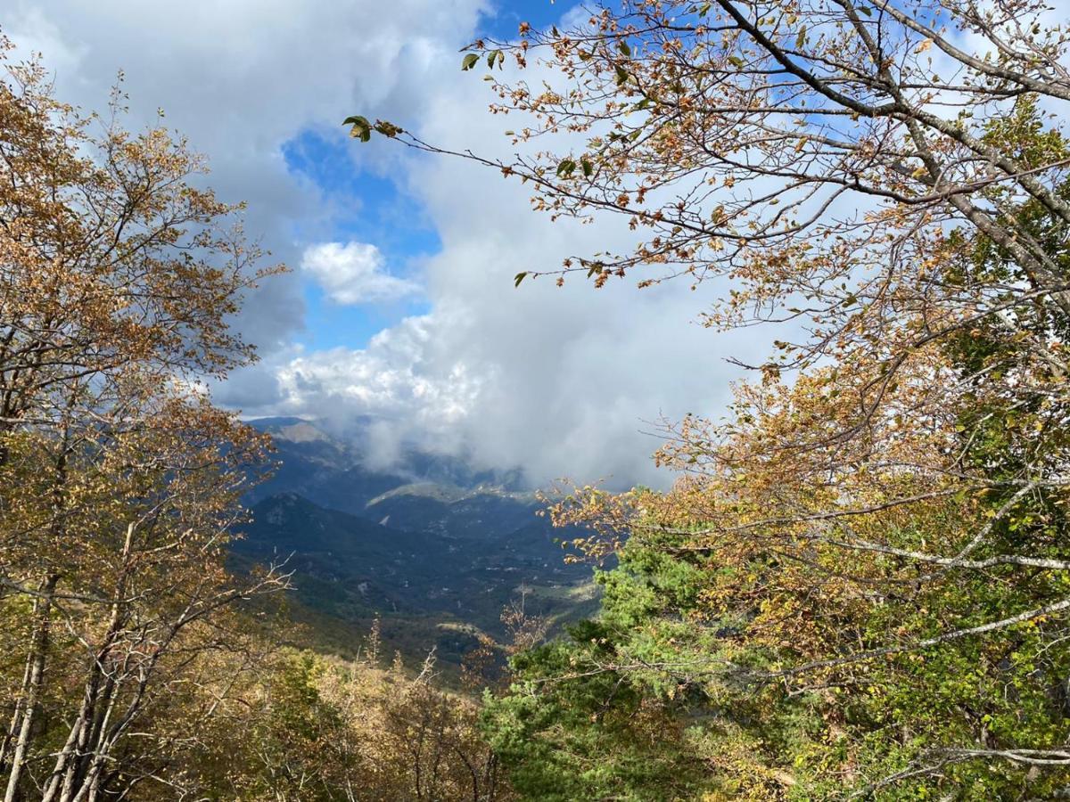 Agriturismo Vecchio Frantoio Villatella Kültér fotó