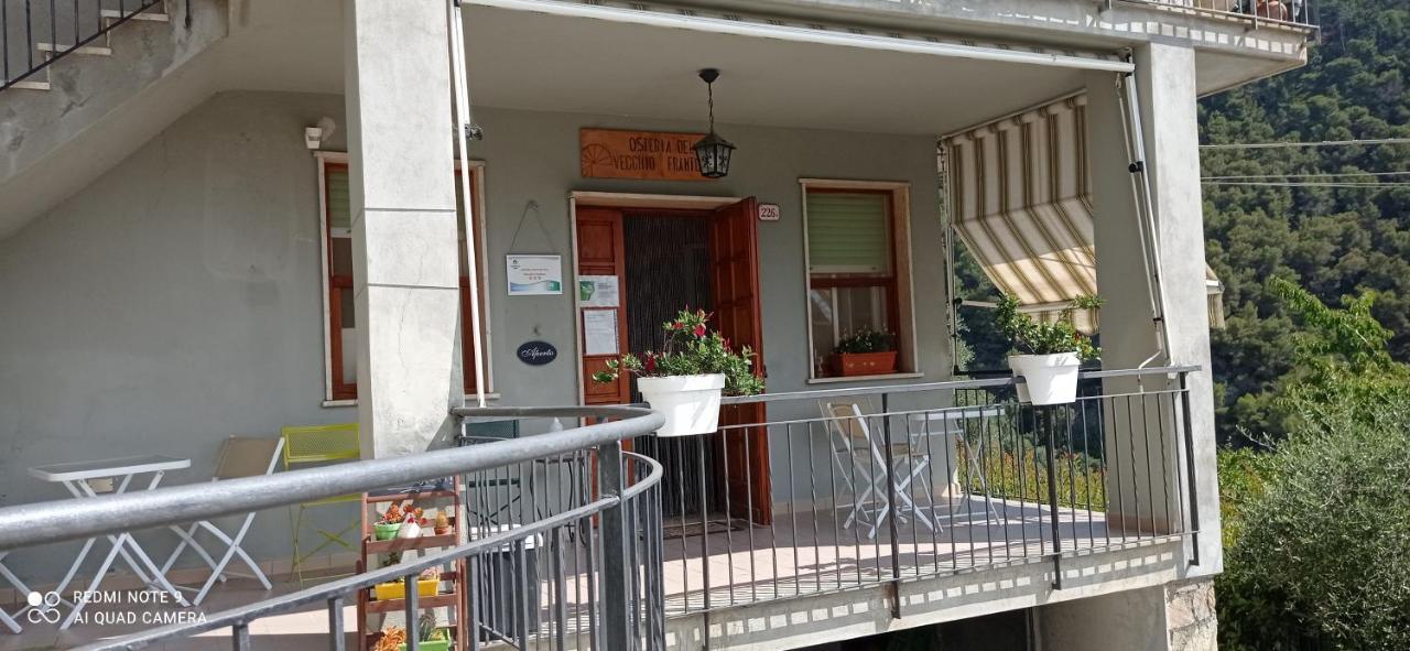 Agriturismo Vecchio Frantoio Villatella Kültér fotó