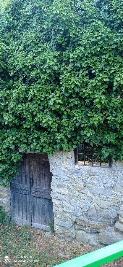 Agriturismo Vecchio Frantoio Villatella Kültér fotó