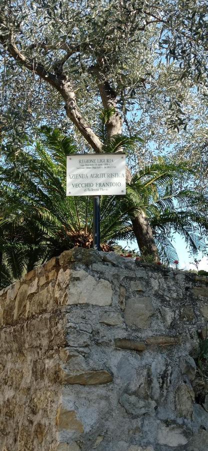 Agriturismo Vecchio Frantoio Villatella Kültér fotó