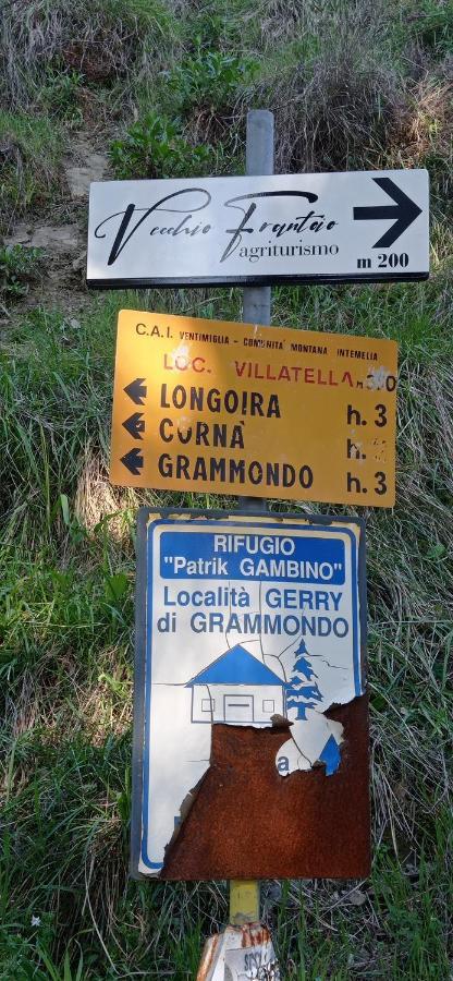 Agriturismo Vecchio Frantoio Villatella Kültér fotó