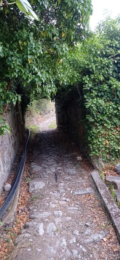 Agriturismo Vecchio Frantoio Villatella Kültér fotó