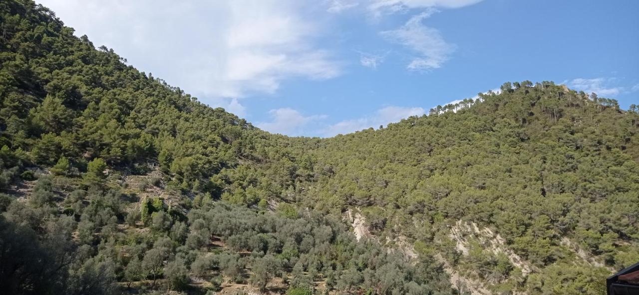 Agriturismo Vecchio Frantoio Villatella Kültér fotó